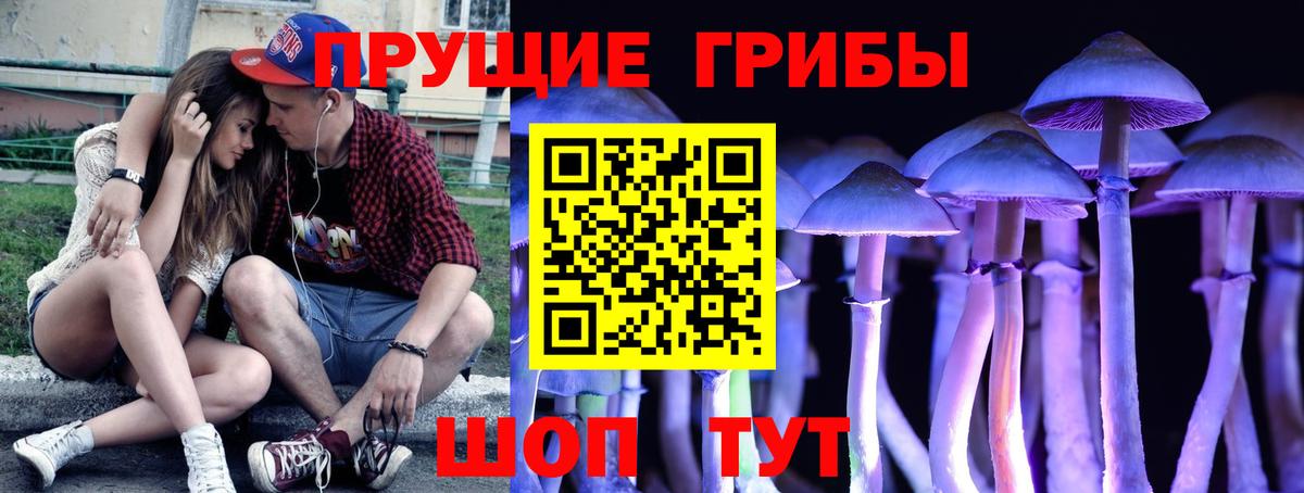 Галлюциногенные грибы Psilocybe  Вход с VPN  хочу   Моздок 